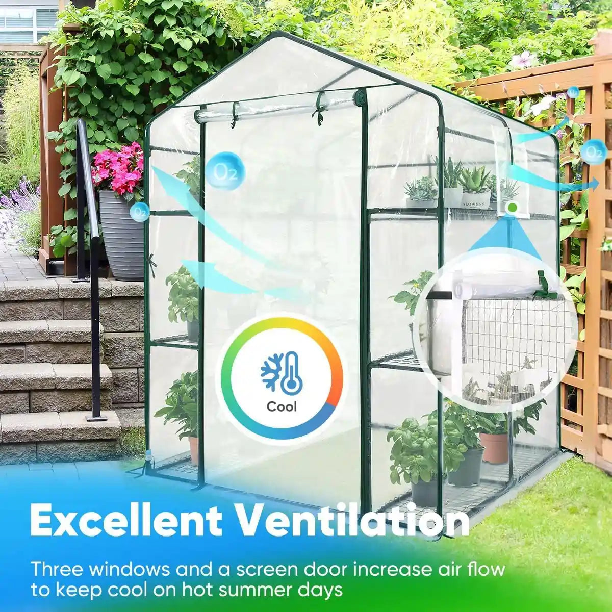 56x56x77 Walk-in Greenhouse for Plants - Portable Garden Greenhouse with Sturdy Frame & UV Protection - Perfect for Indoor/Outdoor Gardening, Seed Starting & Plant Protection