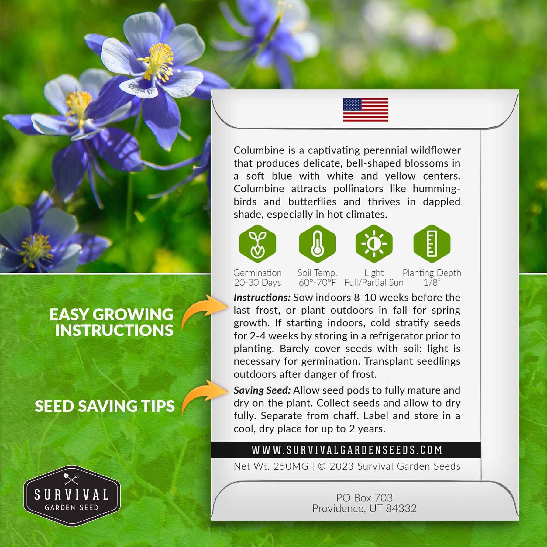 Blue Columbine Seeds (Aquilegia) for Planting - Perennial Wildflower Garden, Borders & Pollinator-Friendly Landscaping