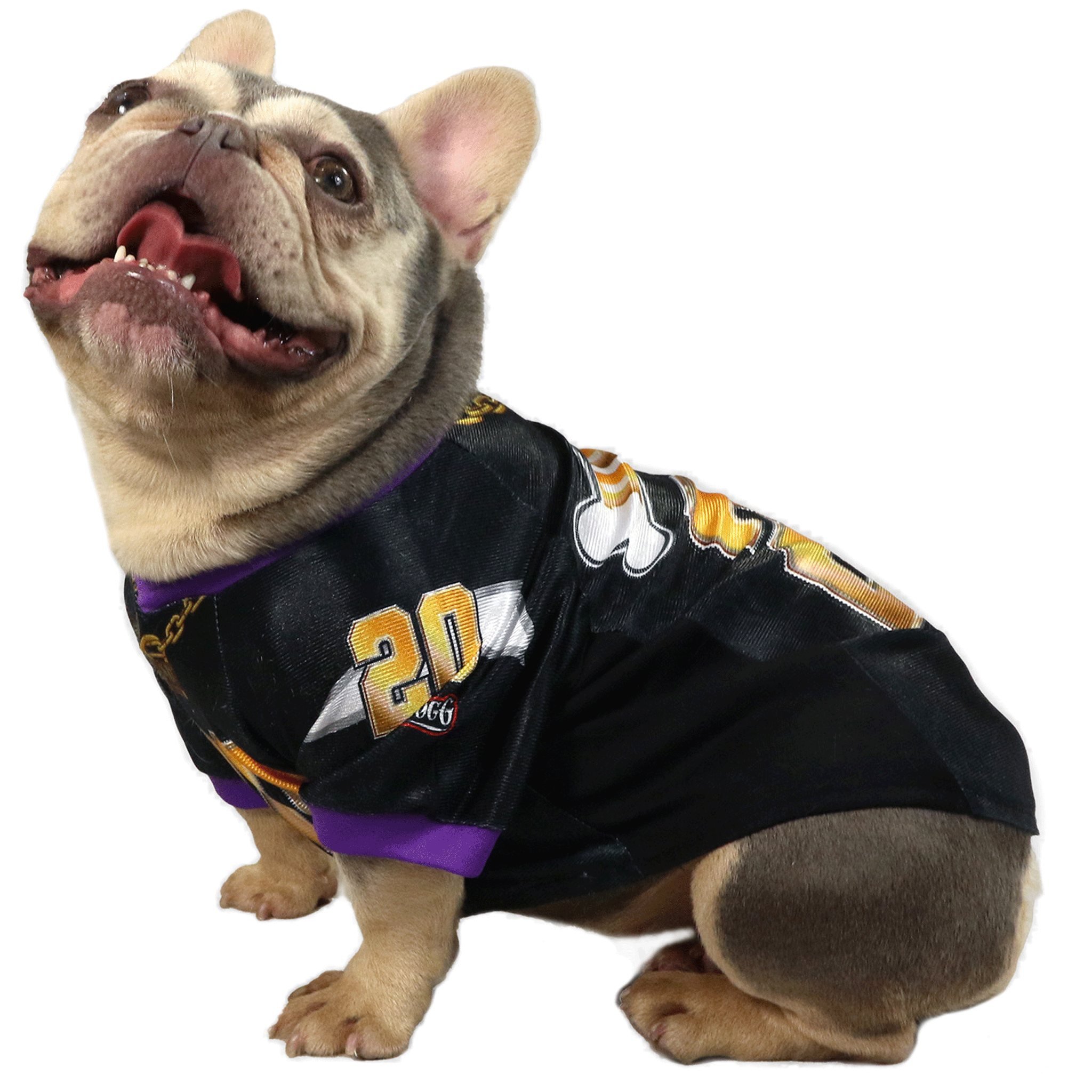Snoop Dogg's Deluxe Pet Jersey - Stylish Dog Clothes for Hip Hop Fans - Perfect for Parties, Concerts & Photo Shoots