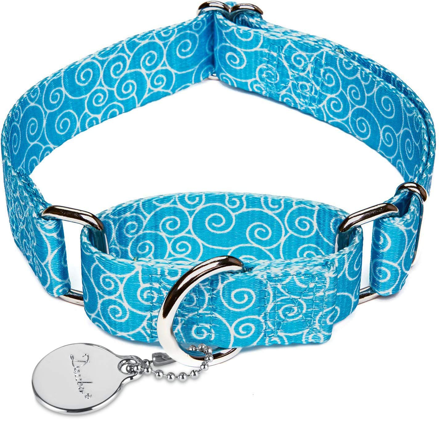 Martingale Dog Collar - Adjustable Safety Training Collar for Small Dogs (8-11 Inch Neck, Sky Blue) | Perfect for Walking, Training & Everyday Use