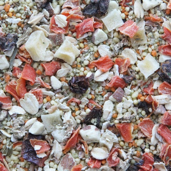 Premium Higgins Worldly Cuisines Tuscan Dream Bird Food - Gourmet Wild Bird Seed Mix for Cardinals, Finches & Songbirds | Perfect for Backyard Bird Feeders & Wildlife Gardens