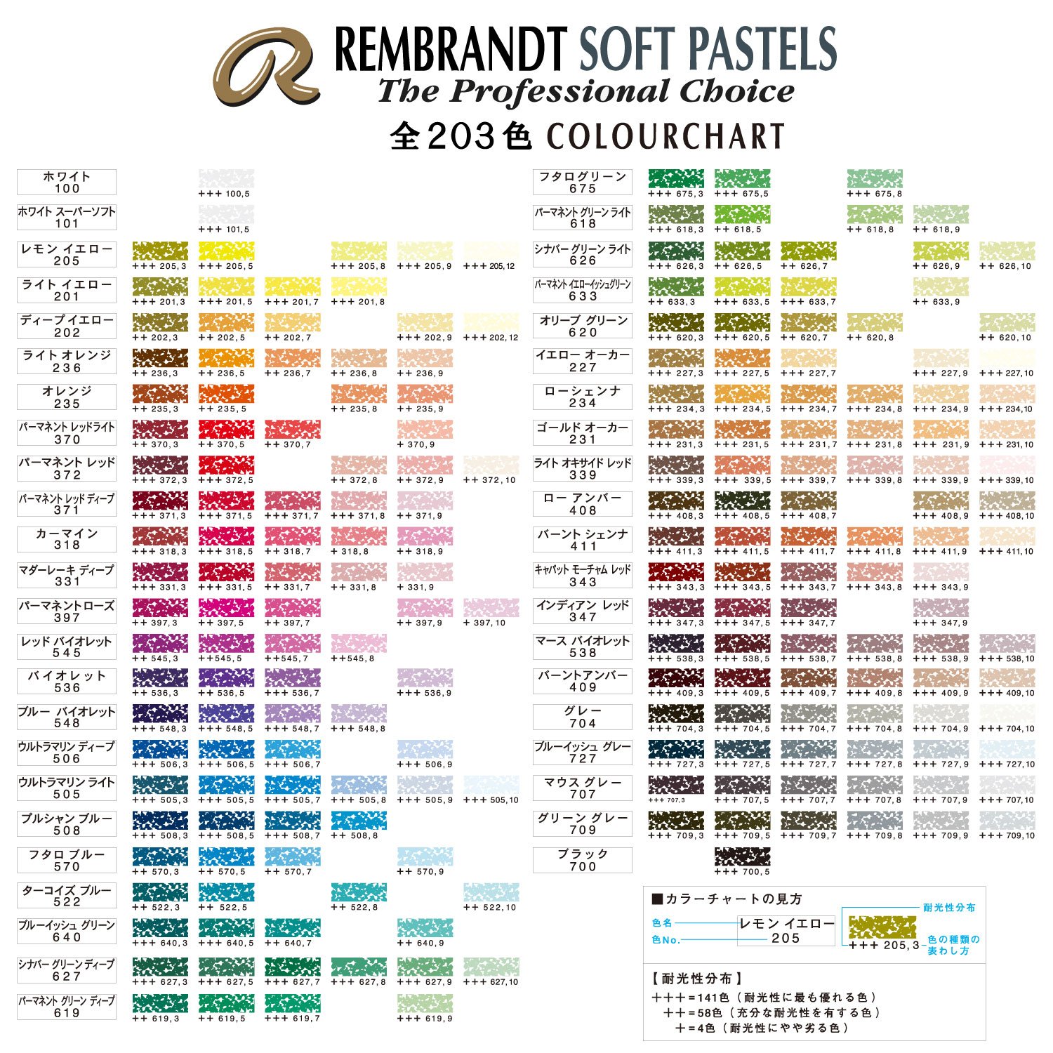 Rembrandt Pastel 343.7 Caput Mortuum Red (31993437) - Premium Artist Pastel for Professional Drawing & Sketching - Perfect for Portraits, Landscapes & Fine Art Creations