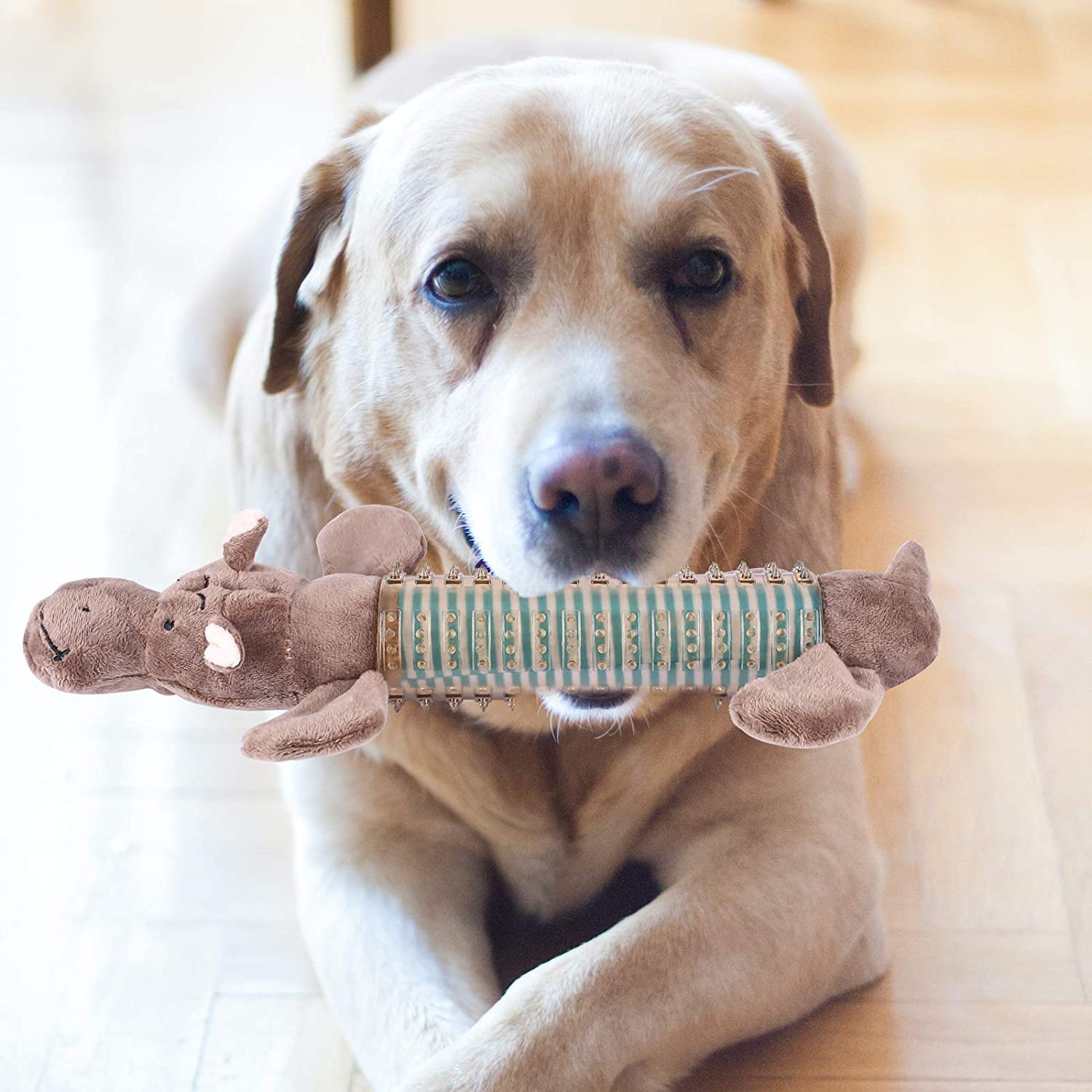 **3 Pack Plush Squeaky Dog Chew Toys – Indestructible & Durable Puppy Chew Toys for Small & Medium Dogs – Natural Material Dental Care Dog Toothbrush Toys (Brown) – Perfect for Teething, Playtime & Dental Health**