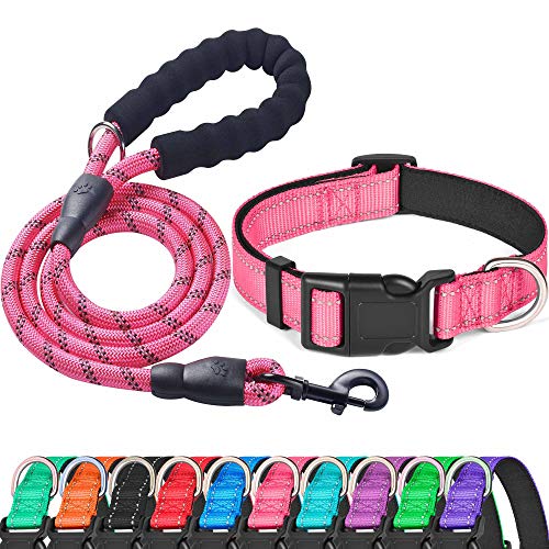 Pink Collar+Leash