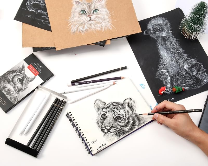 Professional 12-Piece Charcoal Drawing Set - Black & White Charcoal Pencils, Blending Stumps, Eraser Pencils for Sketching, Shading & Art | Perfect for Beginners & Professional Artists | Ideal for Portrait Drawing, Still Life & Art Classes
