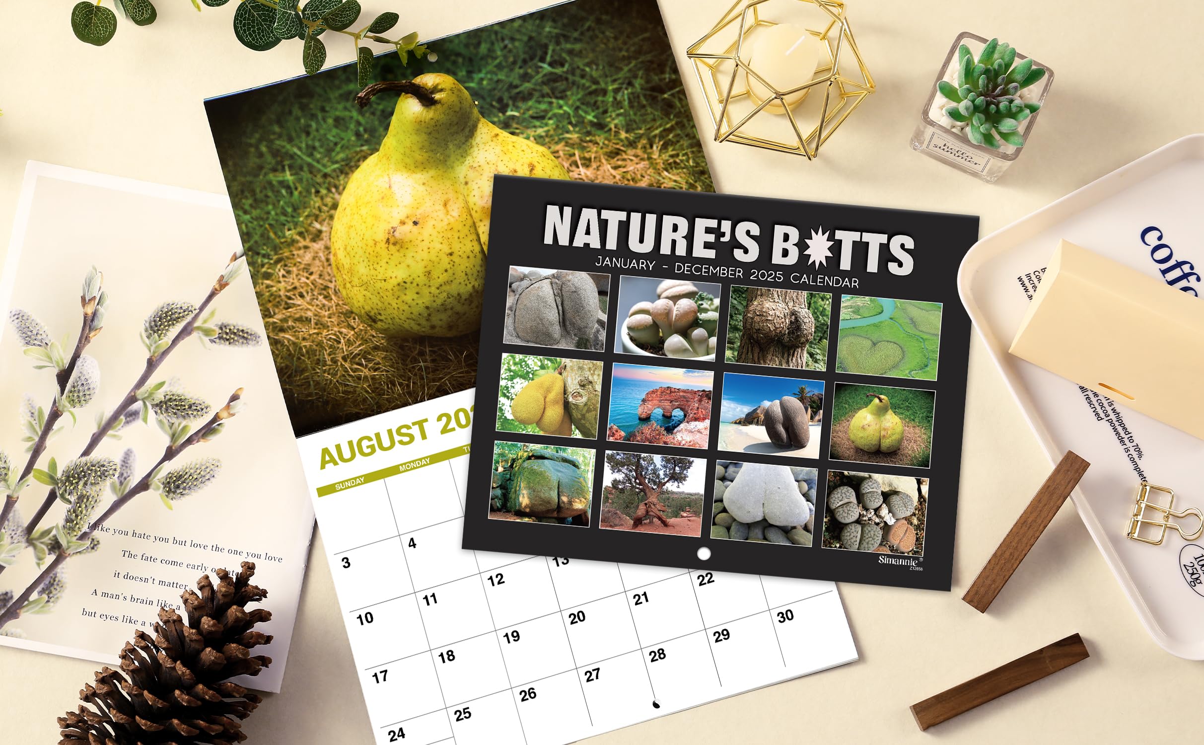 Funny 2025 Wall Calendar - White Elephants Nature's Butts | Thick Paper 8.5