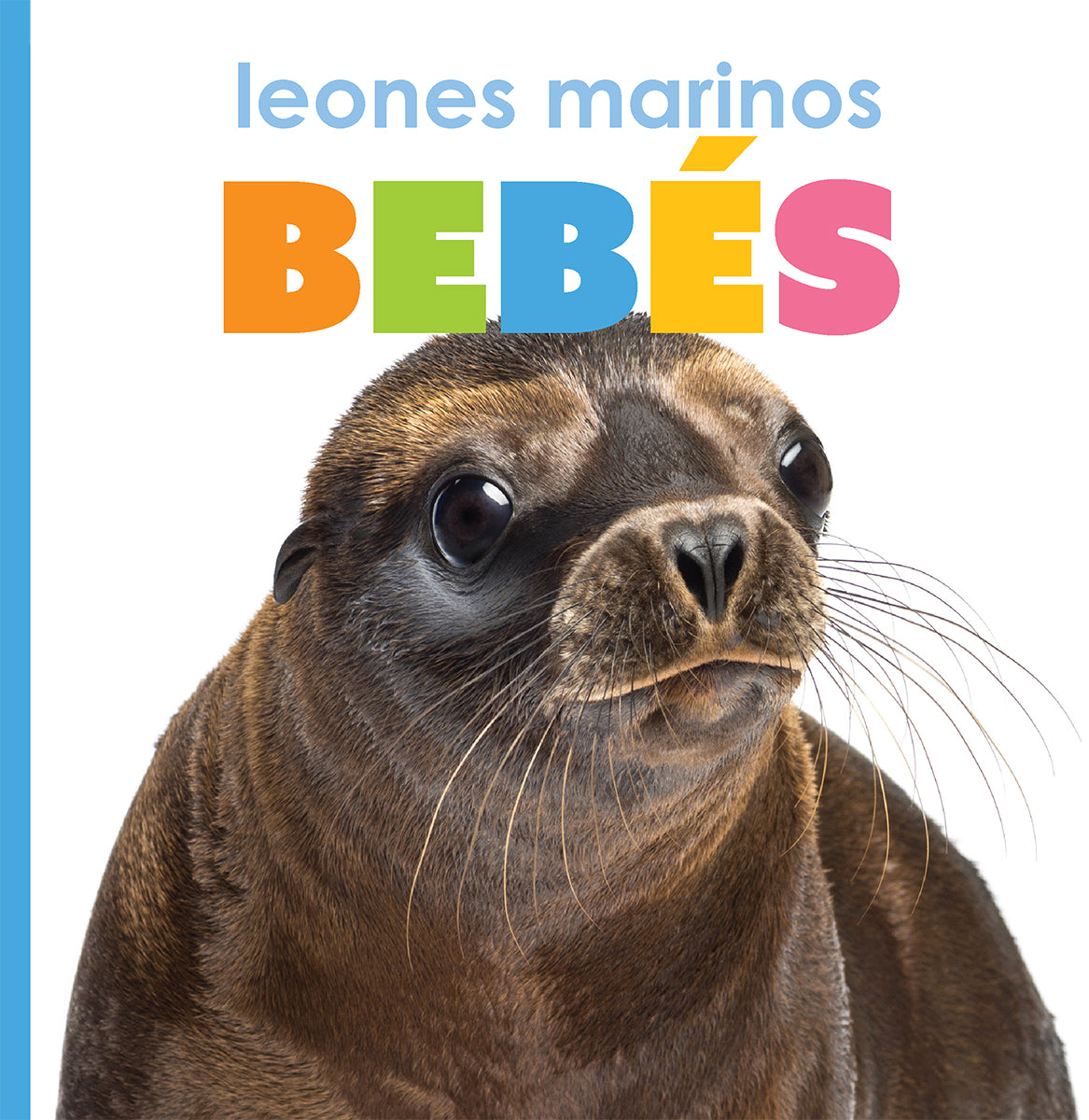 Baby Sea Lions - Adorable Marine Animal Plush Toys for Kids, Gifts & Nursery Decor | Perfect for Cuddling, Playtime & Ocean-Themed Rooms