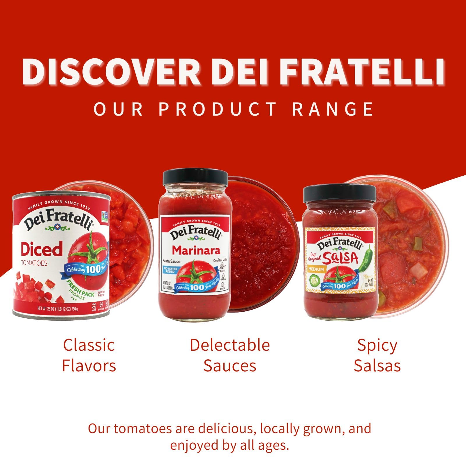 Dei Fratelli Seasoned Diced Tomatoes 28 oz (Pack of 12) - Vine-Ripened, Non-GMO, Gluten-Free - Perfect for Pasta, Pizza & Italian Cooking