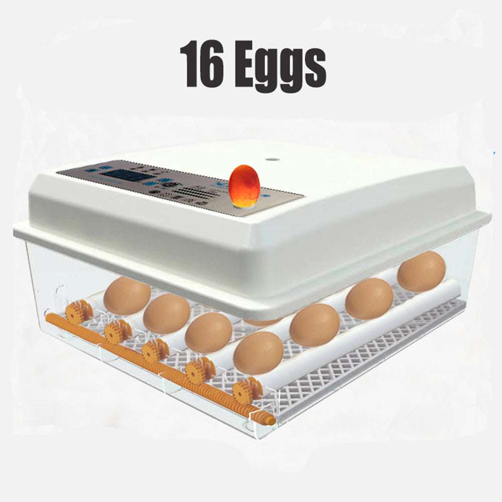 16 Egg Fully Automatic Digital Incubator with Thermostat - Poultry Chicken Egg Hatcher for Home, Farm, and Classroom Use