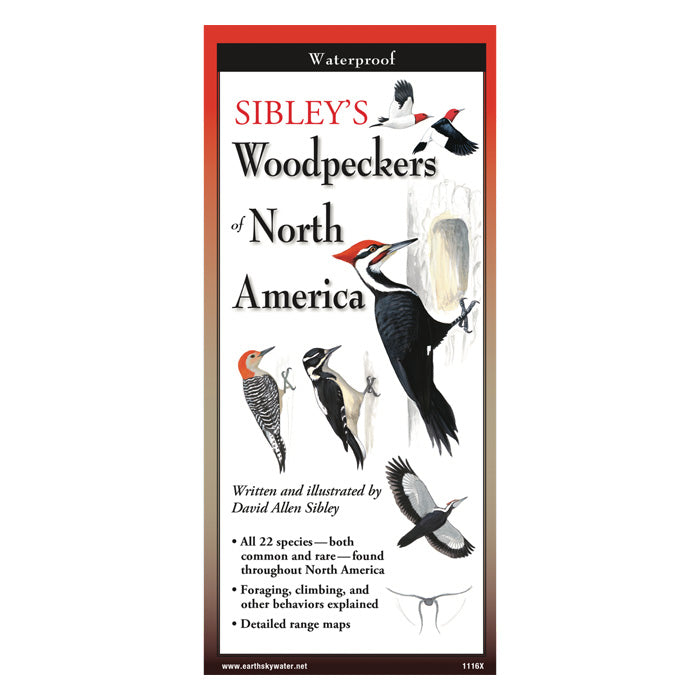 Sibley's Woodpeckers of North America - Folding Field Guide for Bird Watching & Nature Exploration