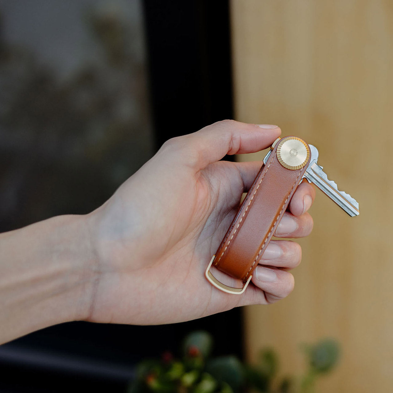 Key Organiser Pro - Premium Key Holder Organizer with Hook & Carabiner Clip for Home, Office & Travel - Compact & Durable Keychain Accessory for Men & Women