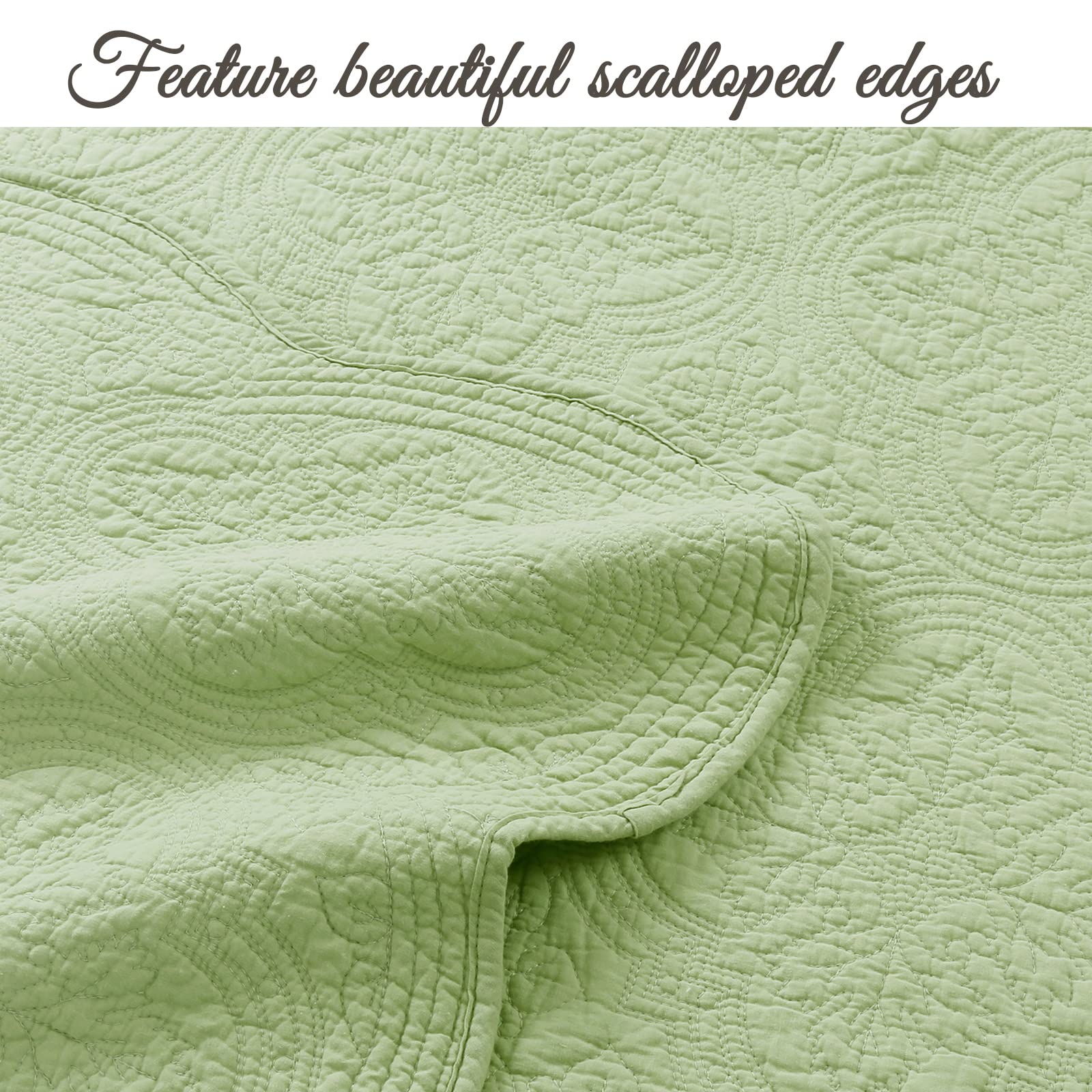 Pure Cotton Quilt Set King Size 3-Piece - Blantyre Green | Soft & Breathable Bedding for All Seasons | Perfect for Master Bedroom & Guest Room