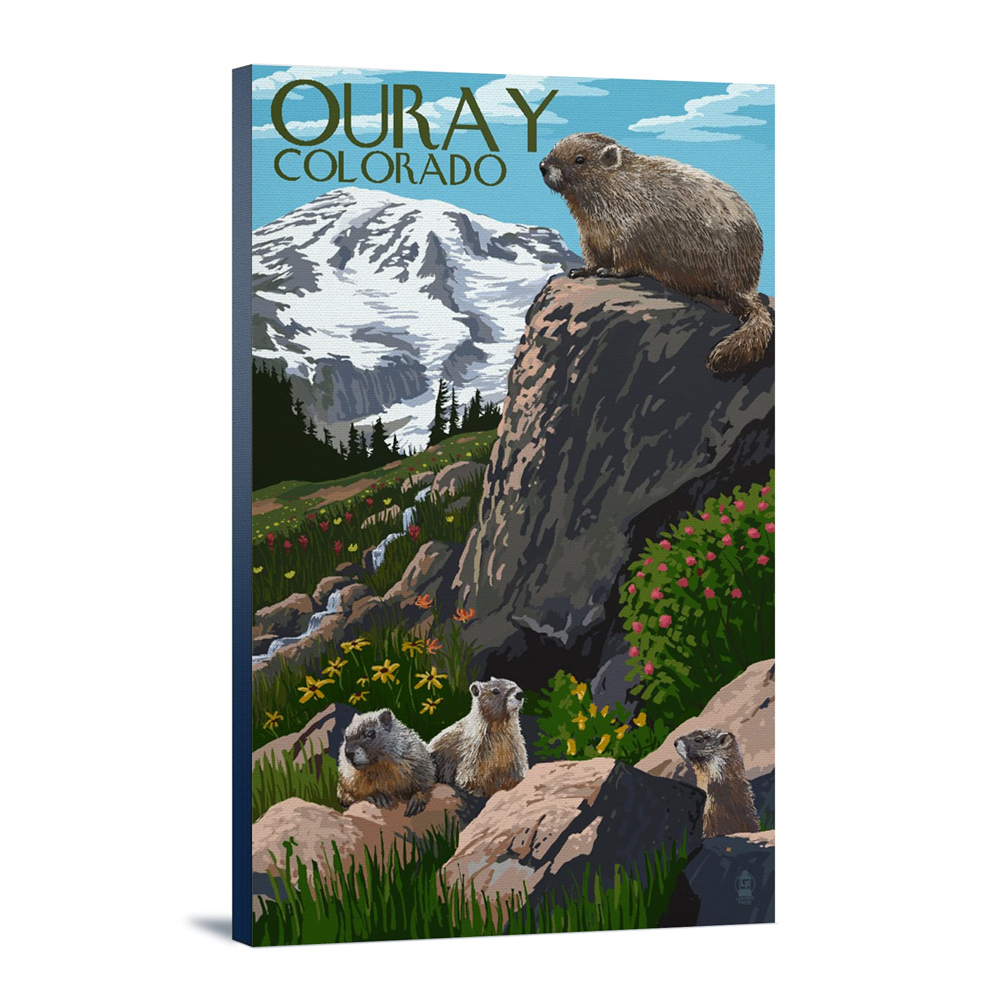 Lantern Press Ouray Colorado Marmots Wall Art - 16x24 Wrapped Canvas Print for Living Room, Bedroom & Office Decor - Mountain Wildlife Painting - Home & Gift Ideas