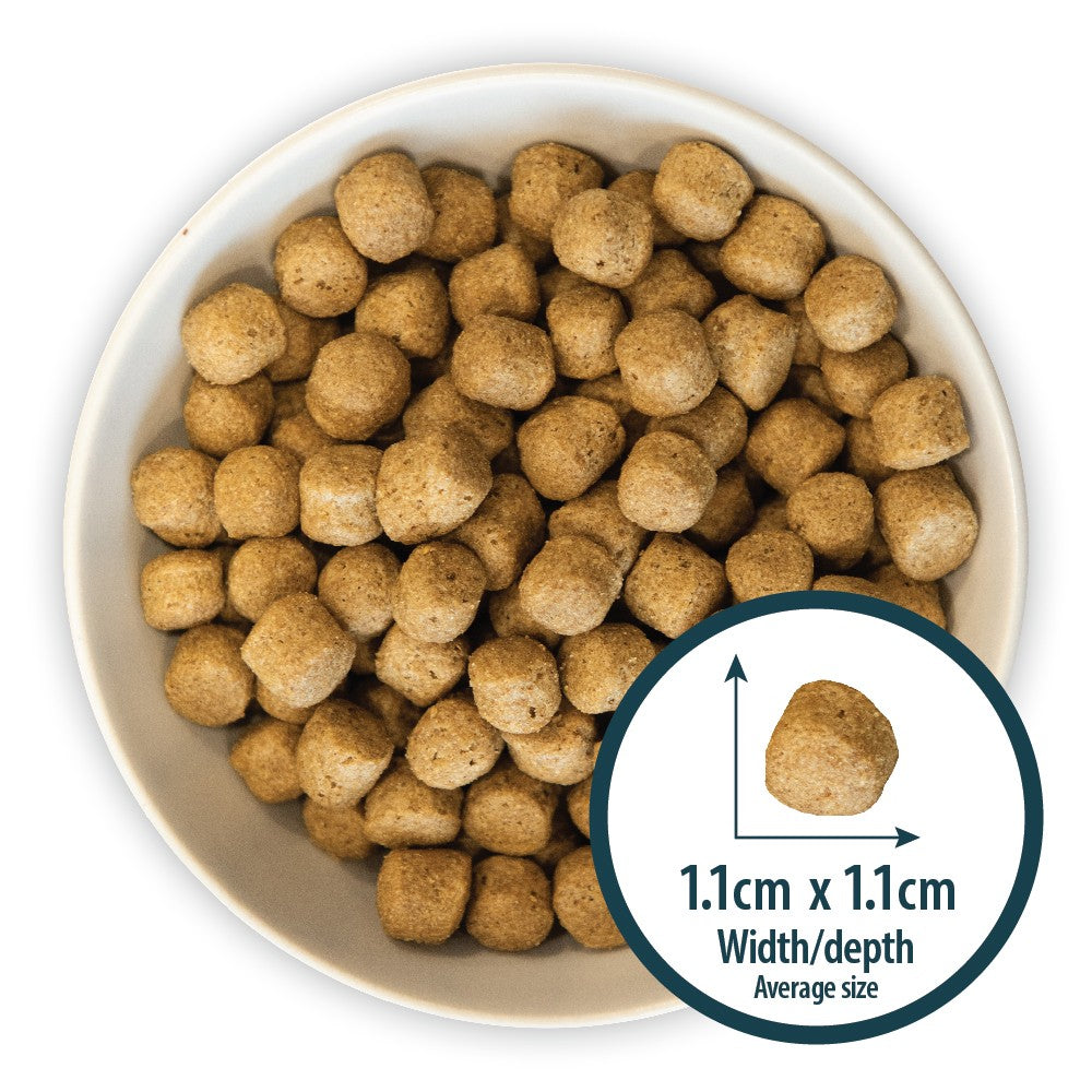Premium Adult Dog Food with Real Fish & Brown Rice - High Protein Dry Kibble for Healthy Skin & Coat - Ideal for Active & Senior Dogs - Perfect for Daily Meals & Training Treats