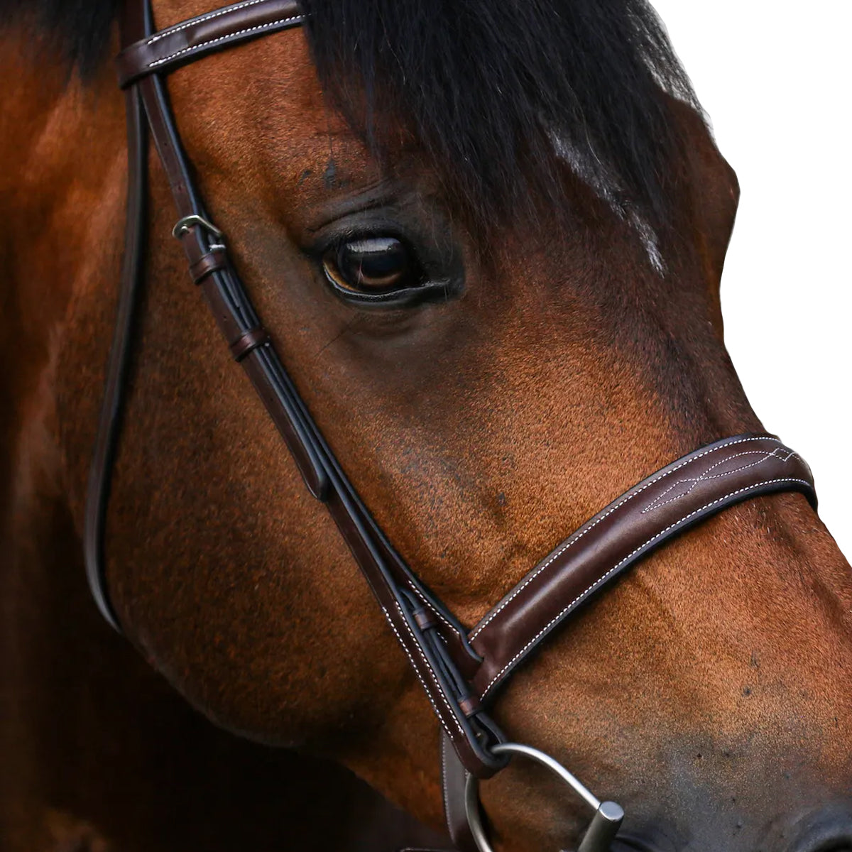 Equiline Scott Stewart Hunter Bridle - Premium English Equestrian Bridle for Show Jumping & Dressage | Perfect for Competitions & Training