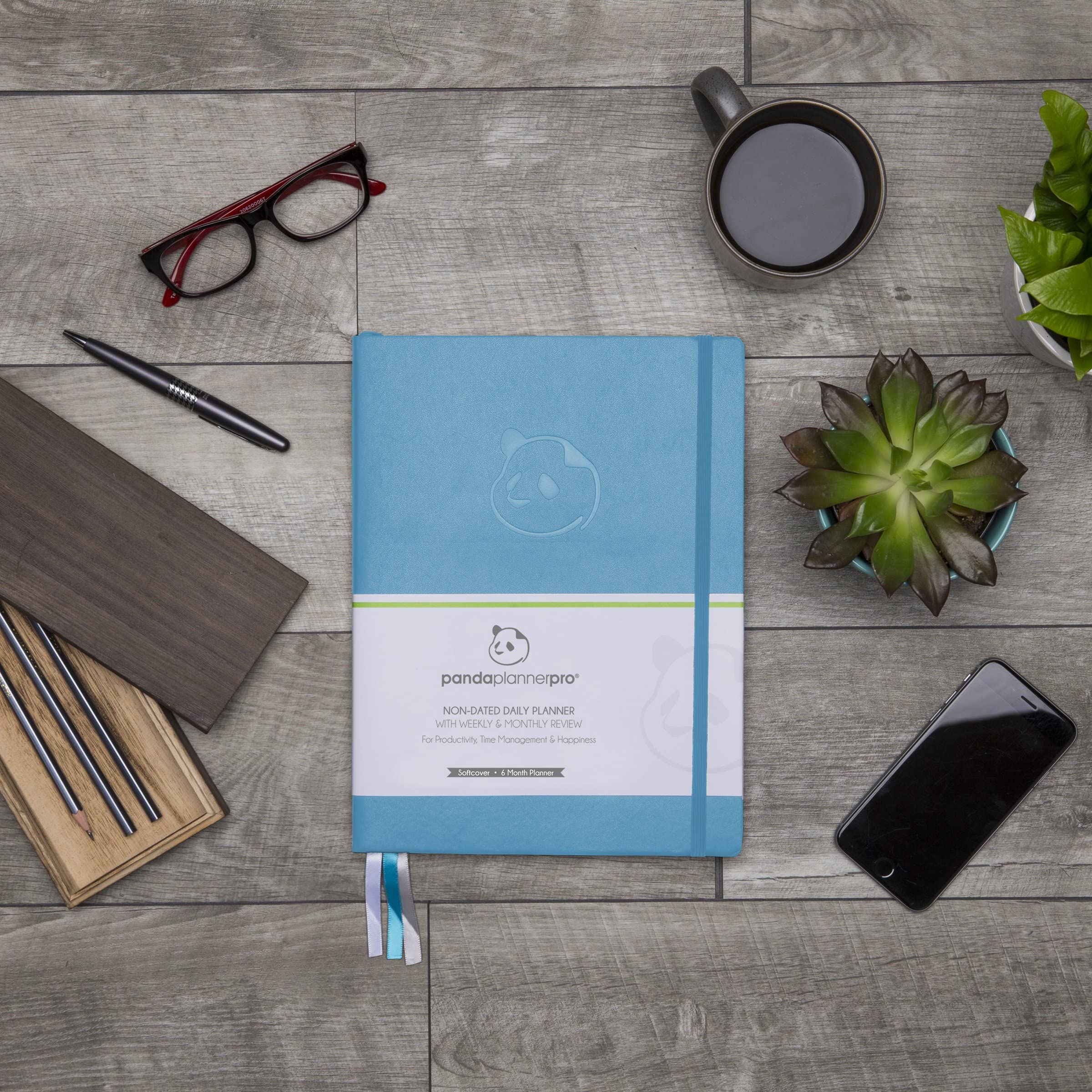 Cyan Pro Undated 6-Month Daily Planner with Spring Sticky Notes - Productivity Planner & Organizer for Work, School & Personal Goals | Panda Planner