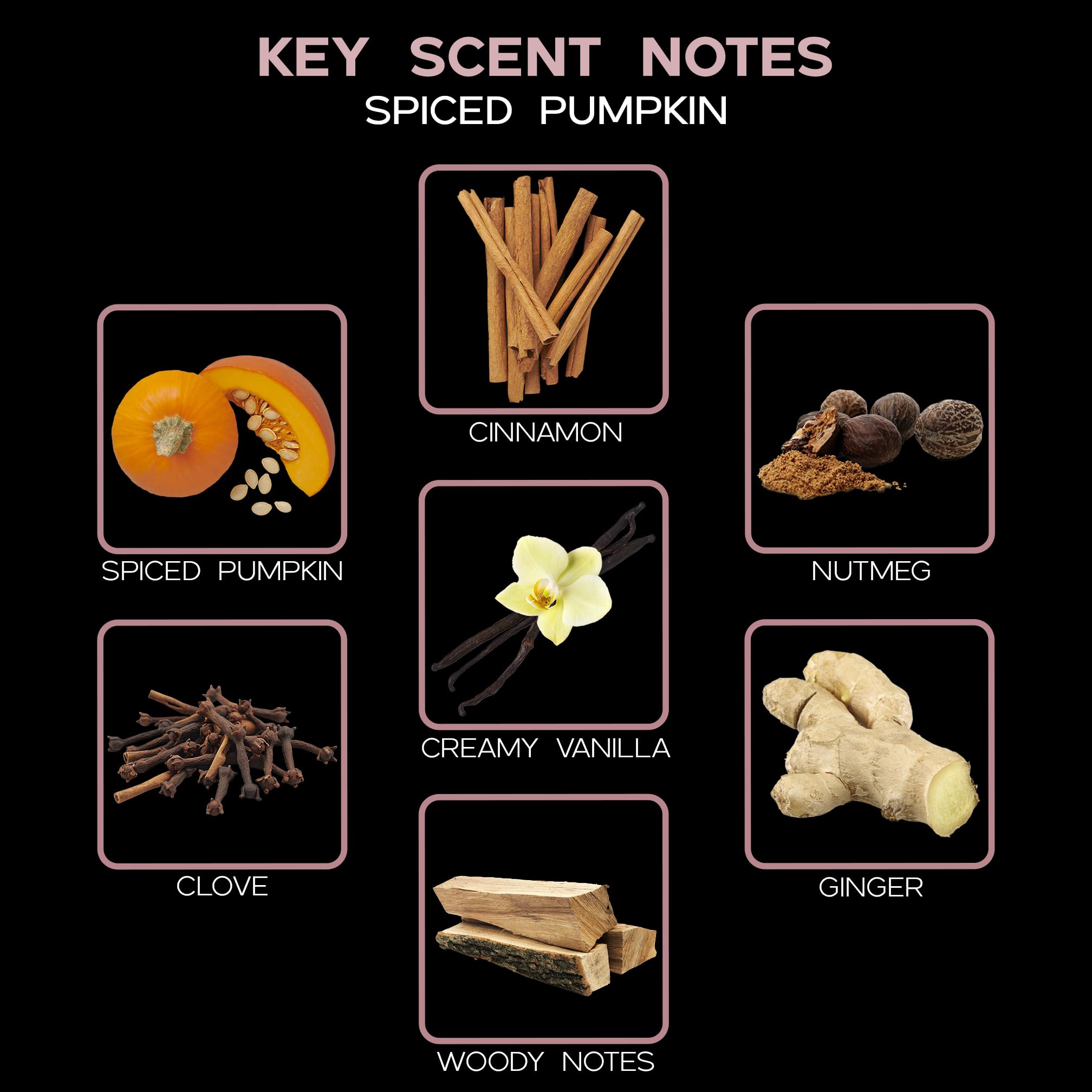 LOVSPA Spiced Pumpkin Reed Diffuser Oil Refill with Replacement Sticks - Fall Scented Home Fragrance with Pumpkin, Cinnamon, Nutmeg, Clove, Vanilla & Ginger | DIY Aromatherapy for Living Room, Bedroom, Office | USA Made Essential Oil for Autumn Decor