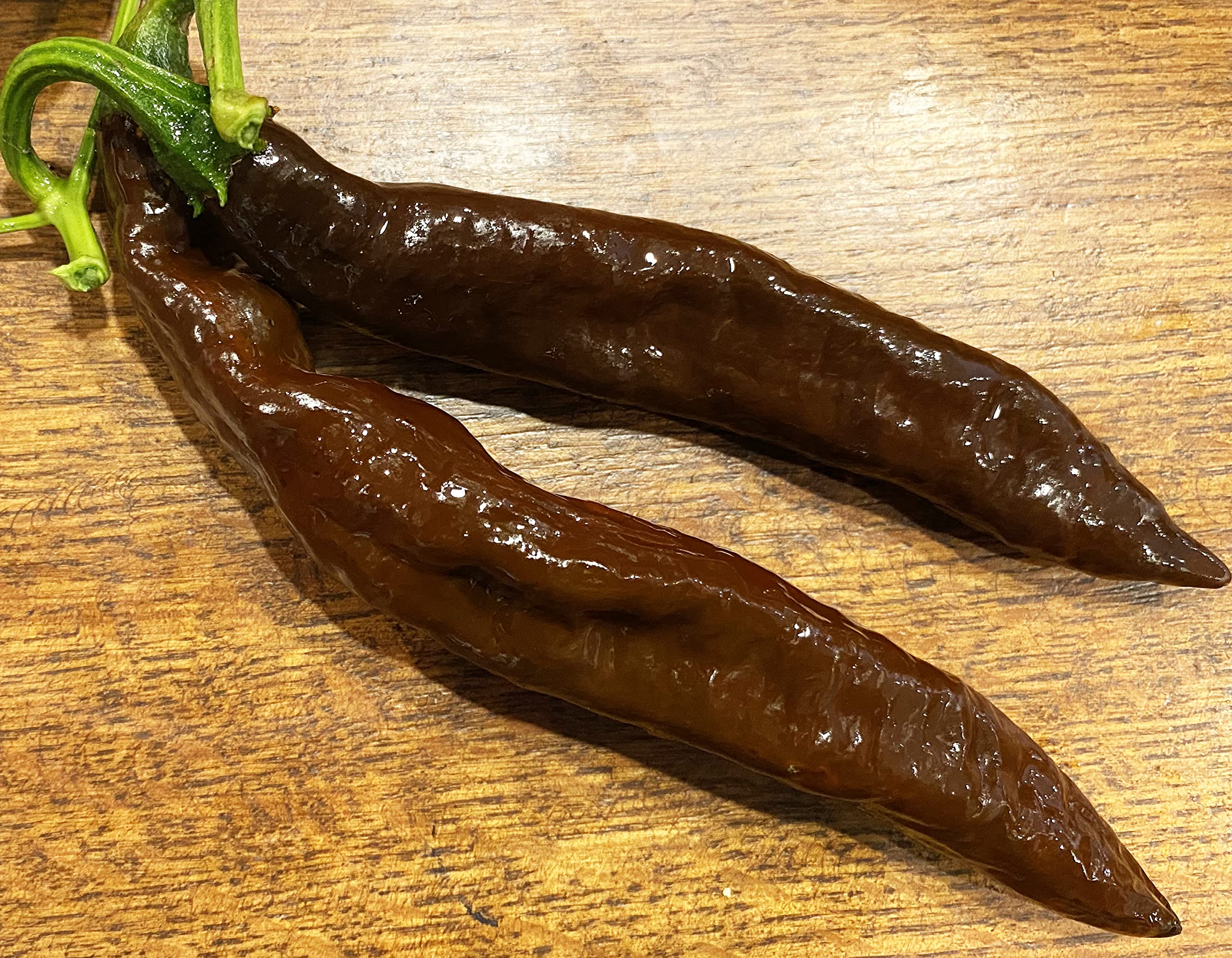 Premium Pasilla Bajio Heirloom Pepper Seeds - Little Raisin Chile, Oaxacan Chilaca Chili - Non-GMO Planting Seeds Packet for Home Garden, Mexican Cuisine & Salsa Making
