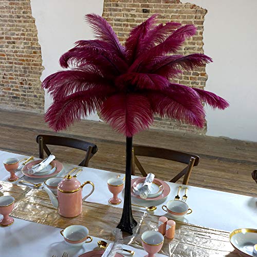 Black Vase/Burgundy Feathers