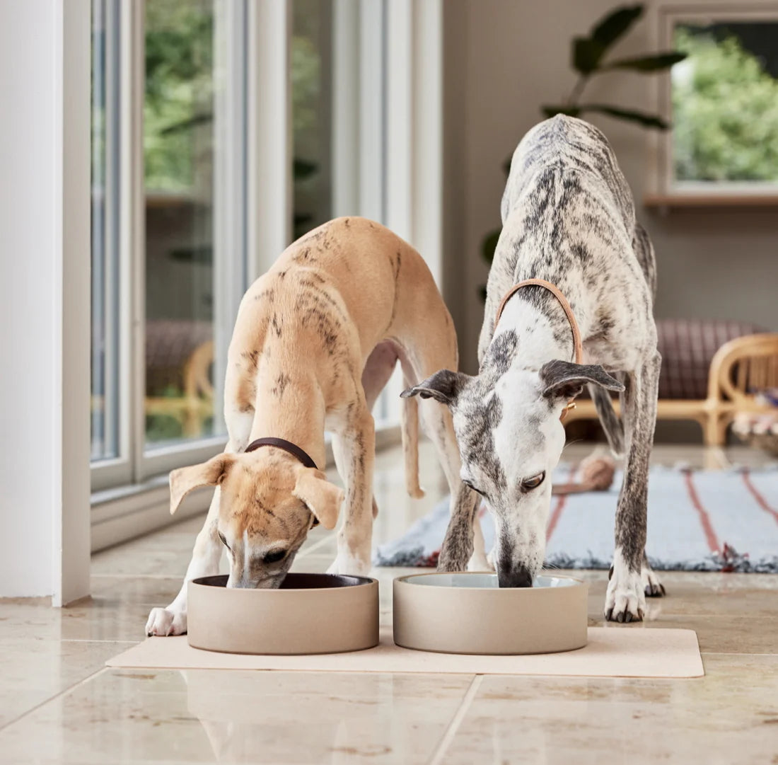 OYOY ZOO Sia Dog Bowl - Ceramic Pet Food and Water Dish for Small, Medium, Large Dogs - Durable Non-Slip Design for Indoor/Outdoor Use - Perfect for Home, Kitchen, Yard, or Travel