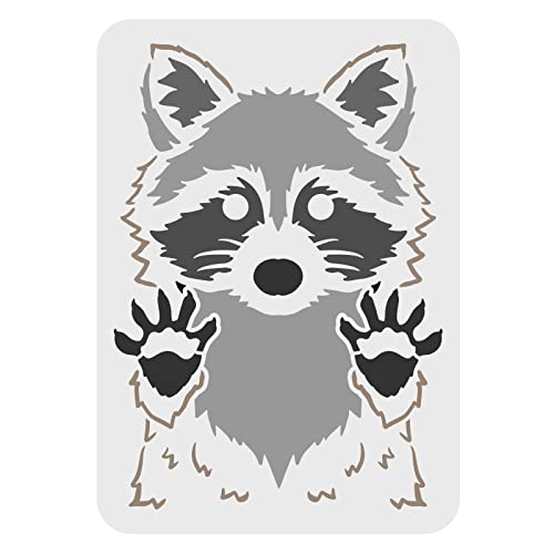 Raccoon
