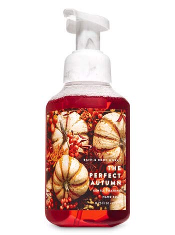 Gentle Foaming Hand Soap for Dry Skin - Moisturizing & Fragrance-Free (16oz) | Ideal for Fall/Winter Hand Care at Home, Office & Bathroom