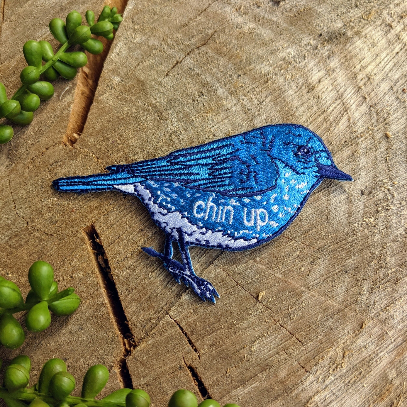Bluebird Embroidered Chin Up Patch - Motivational Iron-On Patch for Jackets, Hats & Backpacks - Perfect for Fitness Enthusiasts & Outdoor Adventures