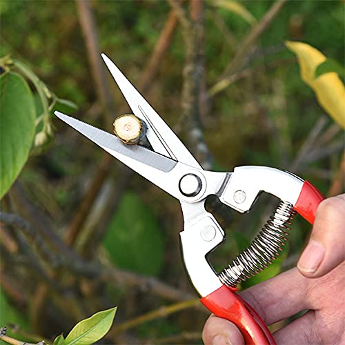 Premium Garden Shears - Professional Pruning Shears for Plants, Flowers & Grape Picking | Heavy Duty Gardening Shears with Comfort Grip | Perfect for Home Garden, Landscaping & Vineyard Use