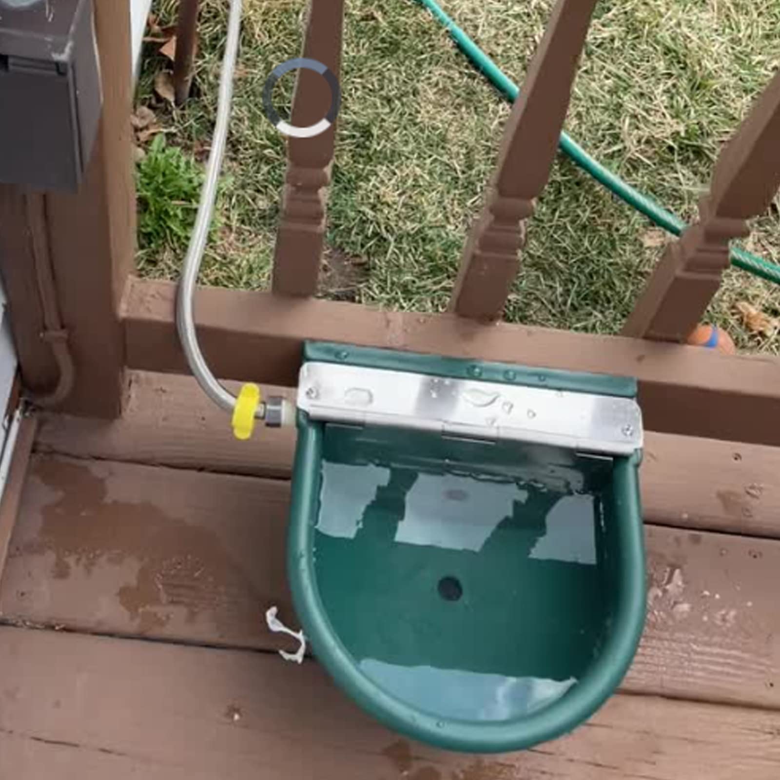 Automatic Plastic Livestock Water Bowl for Horses, Cattle, Goats, Sheep & Dogs - Farm Grade Animal Water Trough with Drainage Hole & 39.37