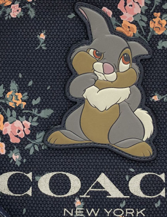 Coach Disney X Gallery Pouch with Rose Bouquet & Thumper - Stylish Crossbody Bag for Women, Perfect for Daily Use, Travel & Disney Theme Park Visits