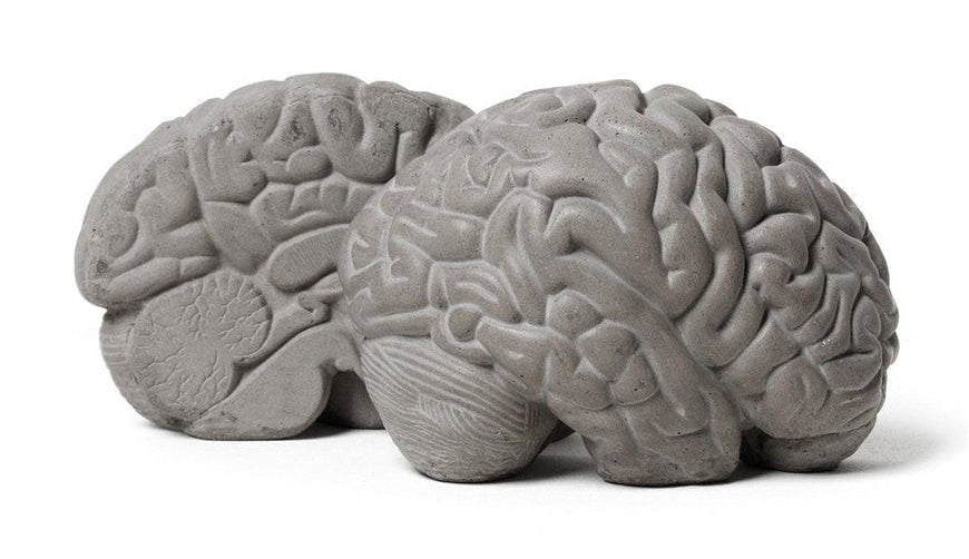 Stylish Gray Matters Bookends by Lyon Beton – Perfect for Bookshelf Organization & Home Office Decor