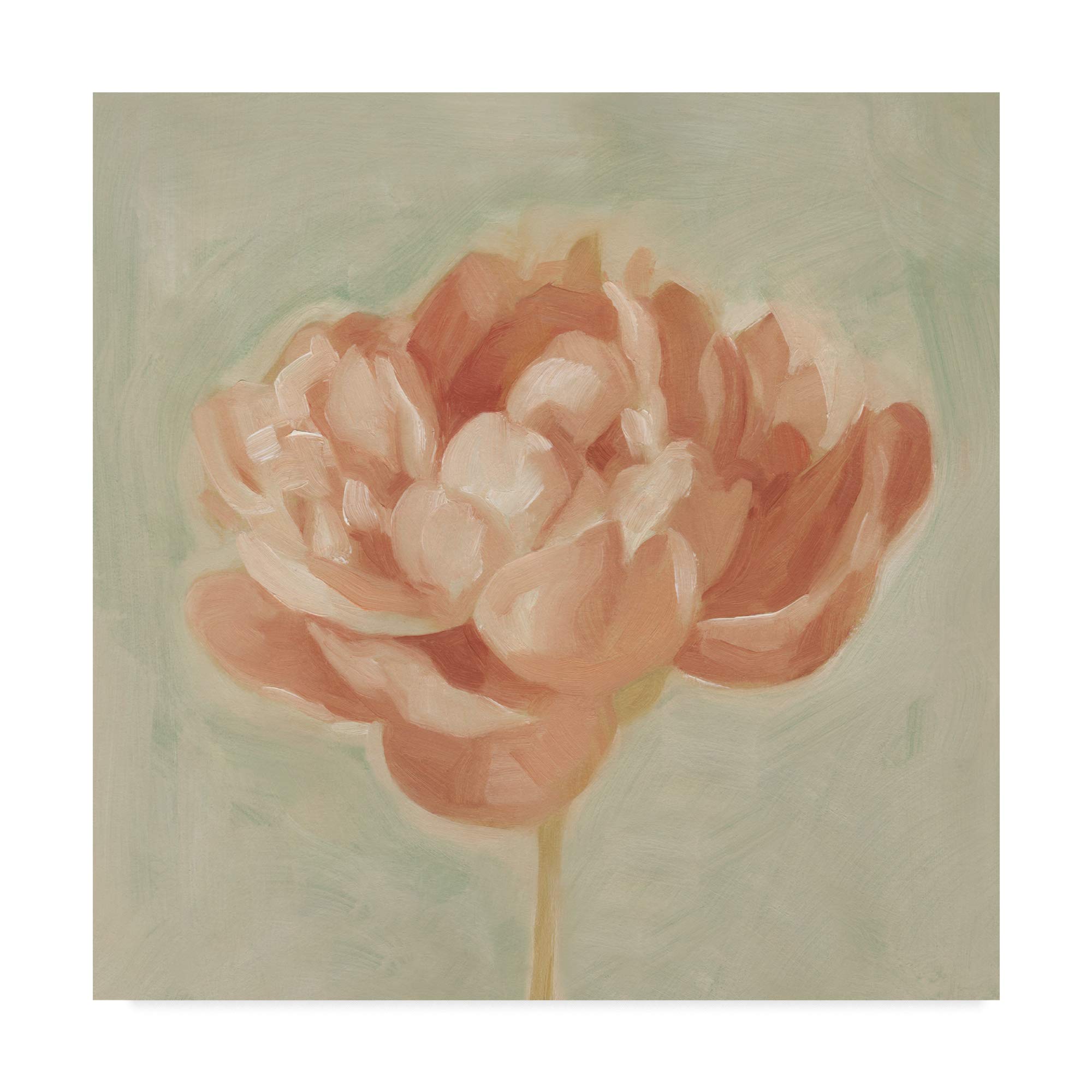 Emma Scarvey Spring Peony I Floral Art Print - 14x14 Inch Framed Wall Decor for Living Room, Bedroom & Office