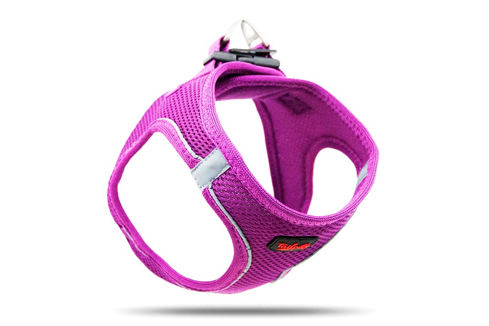 Tailpetz XS No Pull Dog Harness - Adjustable Step-in Reflective Puppy Vest for Small Dogs (Purple) - Perfect for Training, Walking & Outdoor Adventures