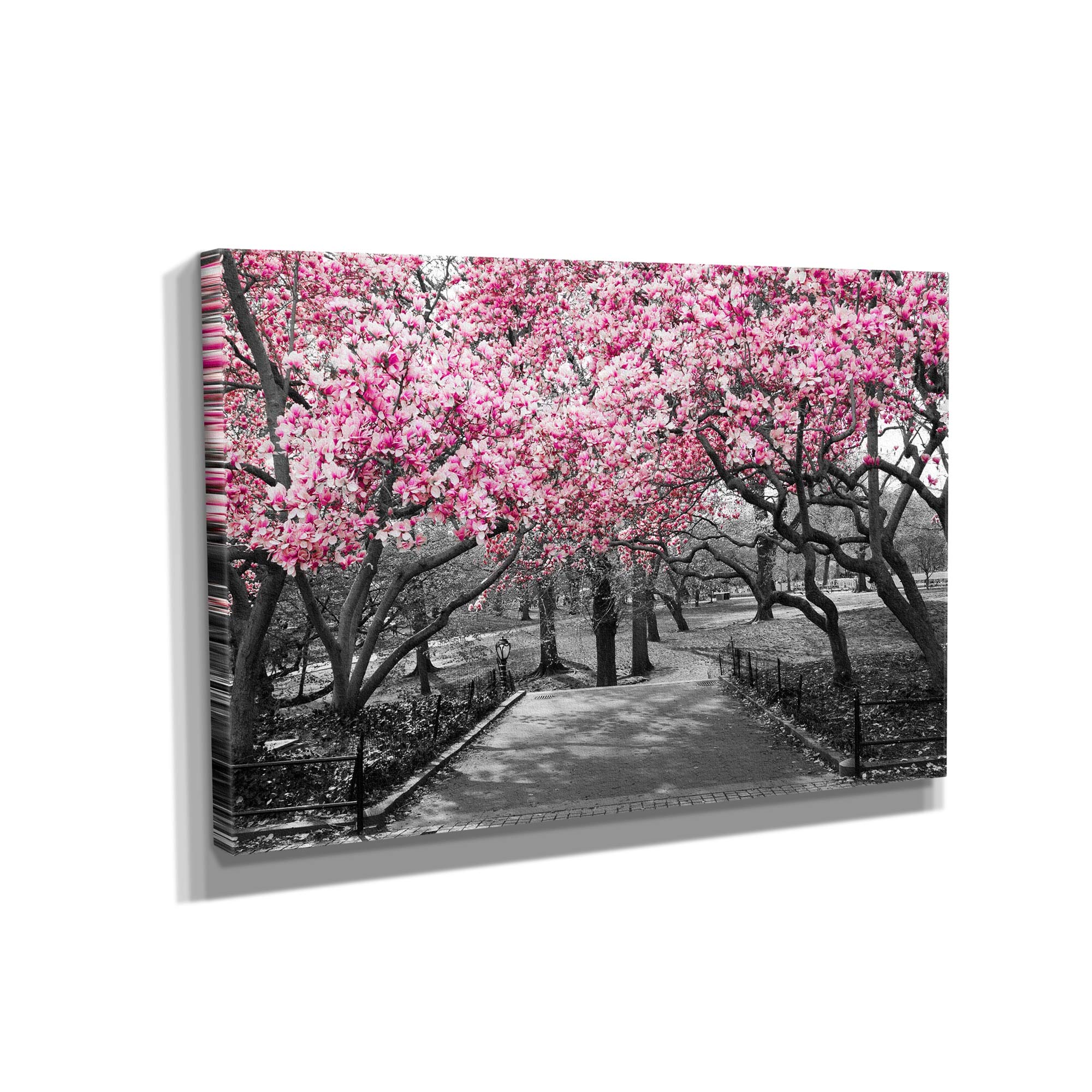Black & White Pink Blossoms Canvas Wall Art - 36x24 Inch Gallery Wrapped Framed Painting - Modern Floral Decor for Living Room, Bedroom & Office