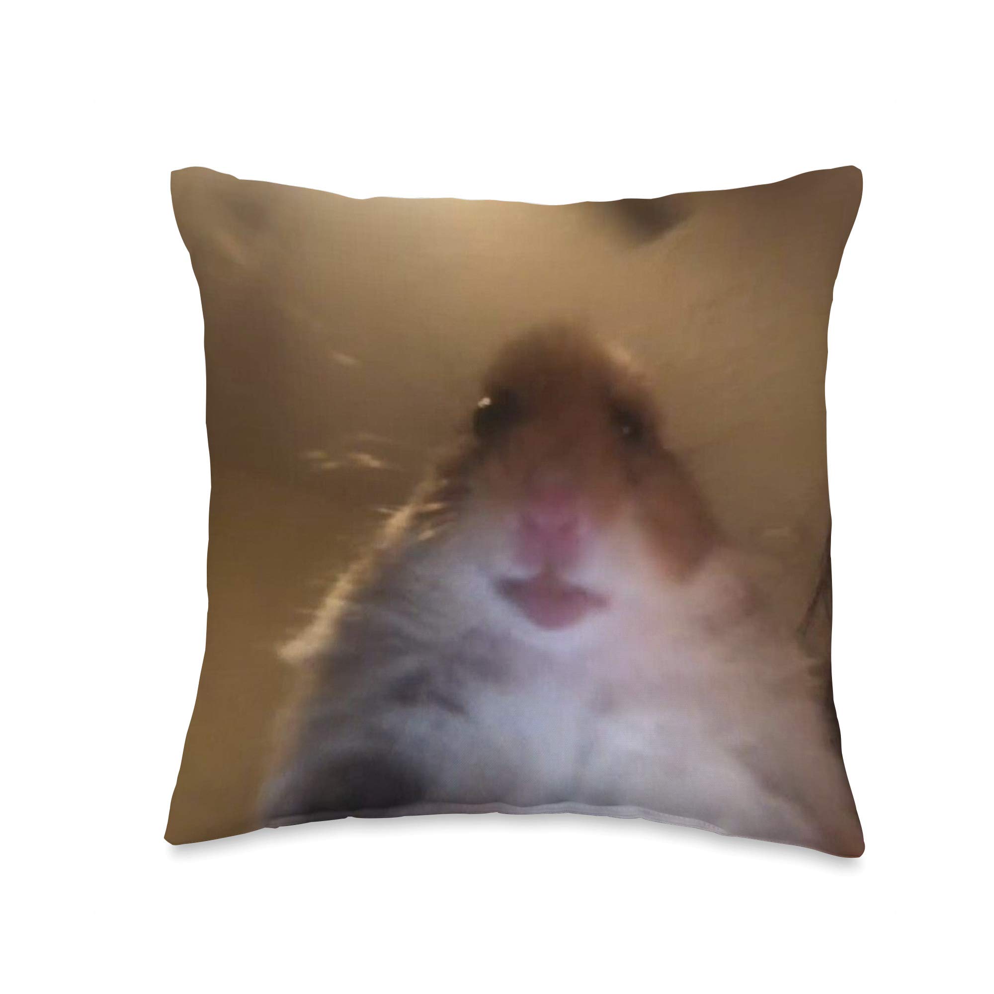 Staring Hamster Meme Throw Pillow - Funny Cute Hamster Design, Soft Decorative Cushion for Living Room, Bedroom, or Office