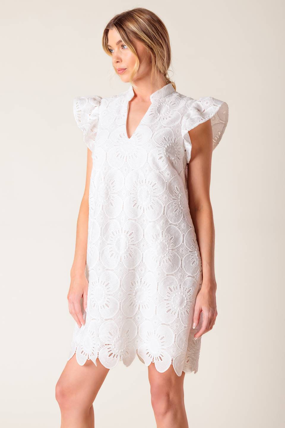 FLEETING WHISPERS Lace Mini Dress - Elegant Party & Evening Wear for Women | Perfect for Date Night, Cocktail Parties & Special Occasions
