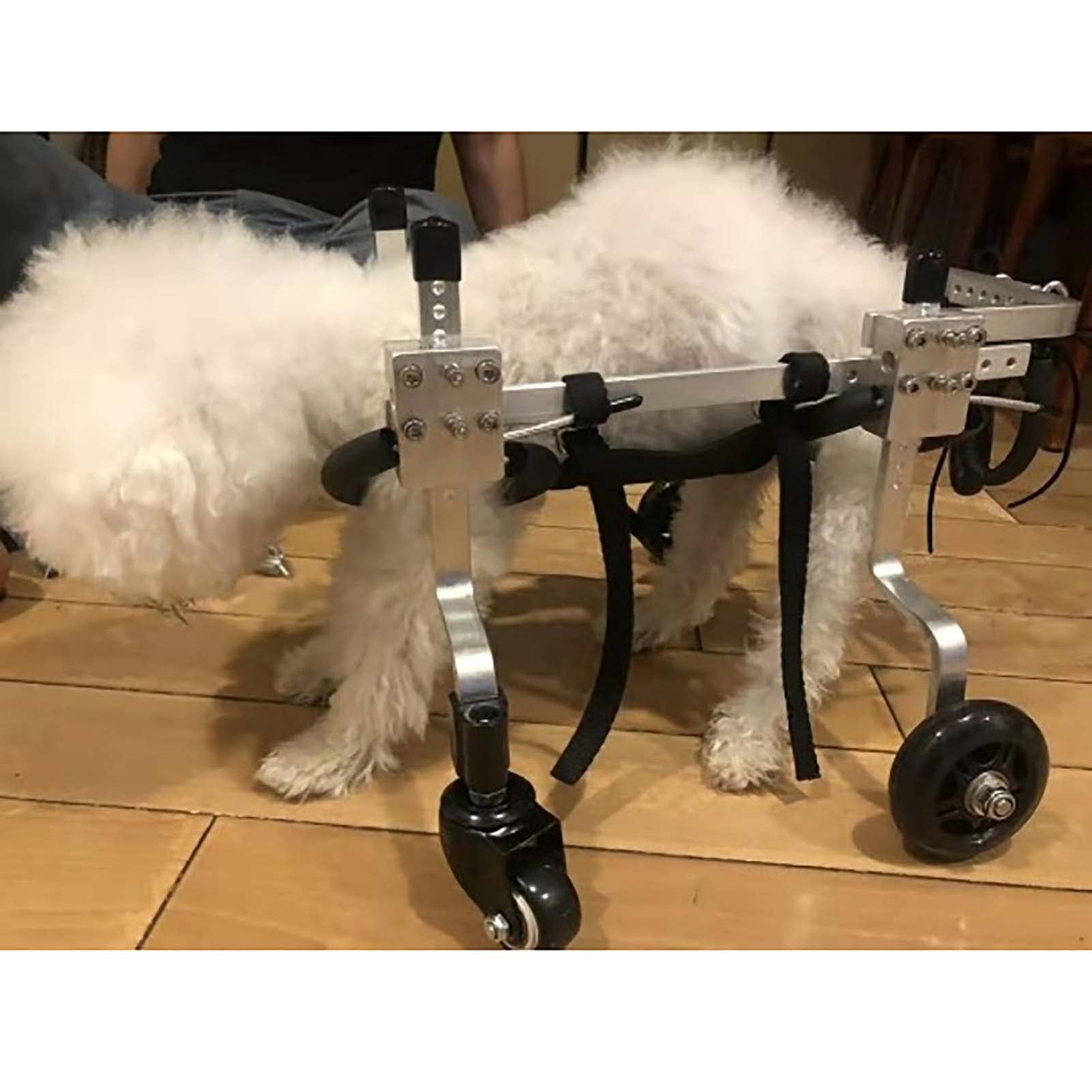 Pet Wheelchair for Disabled Dogs - Adjustable 4-Wheel Support for Front & Rear Limb Injuries - Mobility Aid for Paralyzed & Injured Pets - Ideal for Rehabilitation & Daily Use