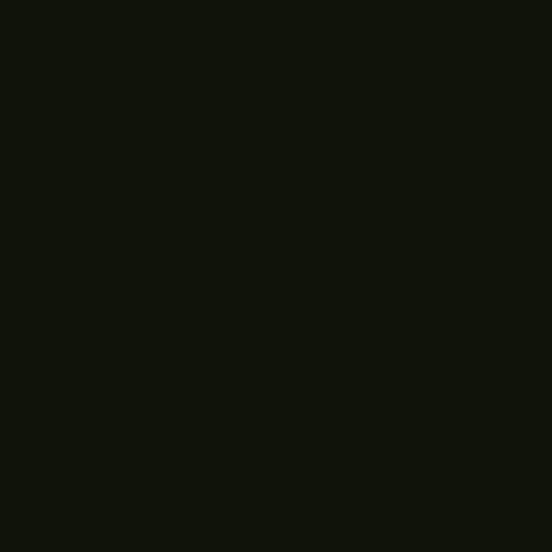 Ebony Black EB