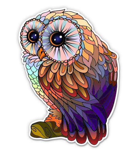 Colorful Owl 3