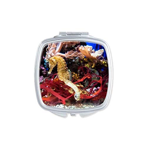 DIYthinker Ocean Deep Water Blue Hippocampus Water Mirror - Portable Compact Double-Sided Glass Makeup Mirror for Travel, Home & Office Use