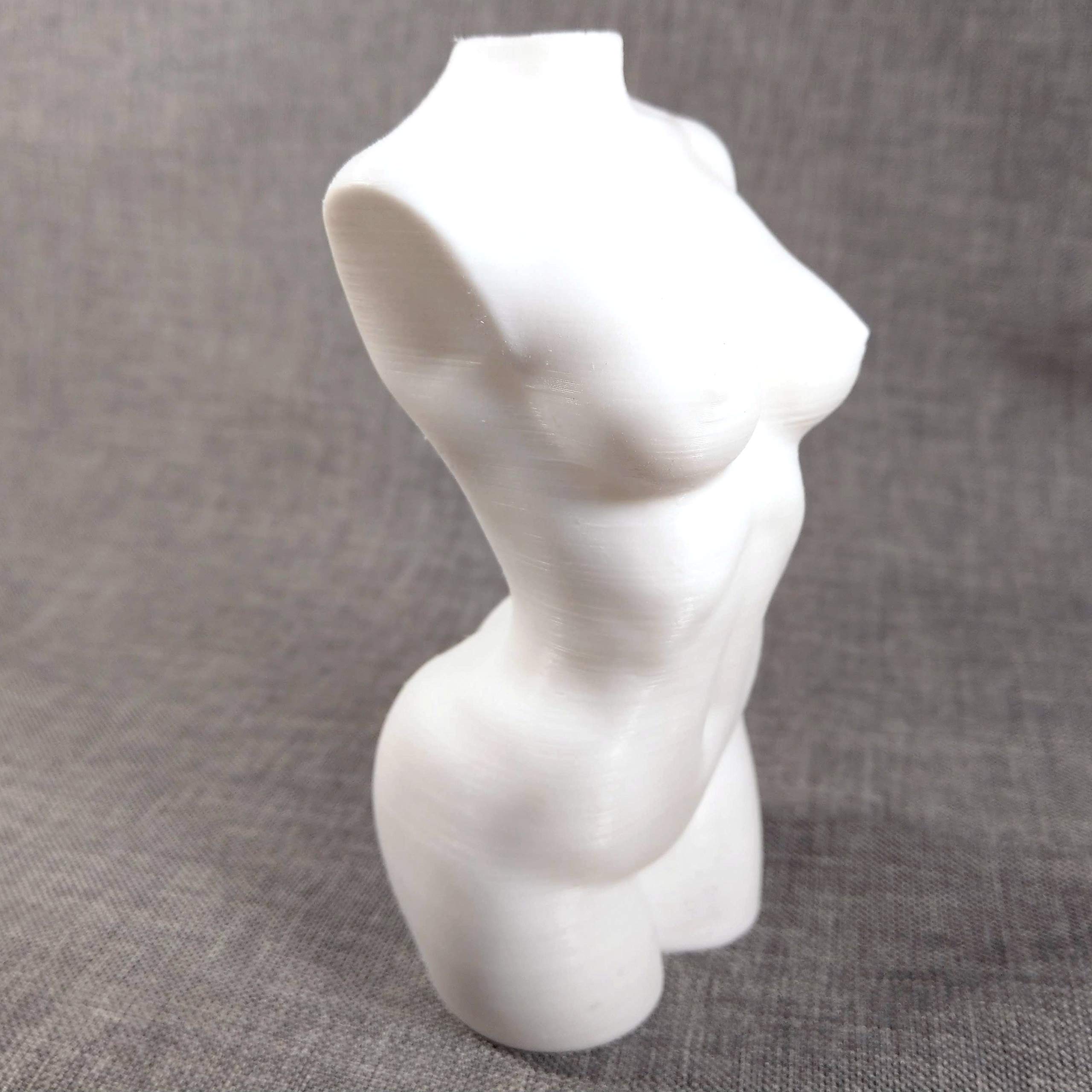 3D Printed White Female Torso Statue - Modern Home Decor, Art Studio Display, Photography Prop, and Contemporary Sculpture Collection