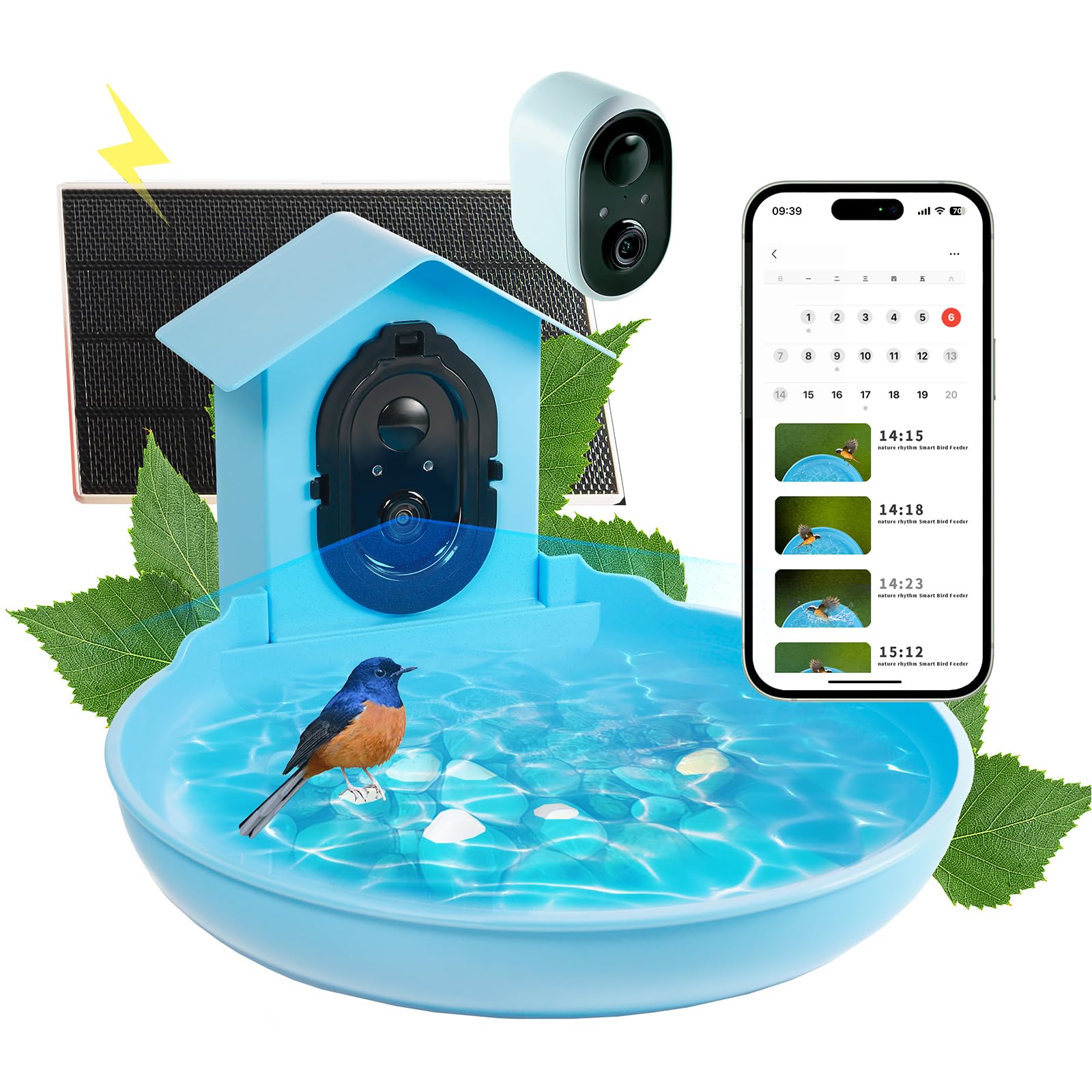 Nature's Rhythm Bird Bath - Handcrafted Outdoor Garden Decor for Birds, Decorative Yard Ornament for Patio, Lawn & Backyard - Attract Wild Birds & Enhance Garden Aesthetics