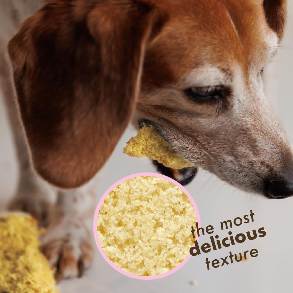 Puppy Cake Dog Birthday Cake Kit - Complete Cake & Icing Mix with Candle & Silicone Pan - Birthday Cake Flavor with Sprinkles - Bake or Microwave - Made in USA - Perfect for Dog Birthday Parties, Adoption Anniversaries & Special Celebrations