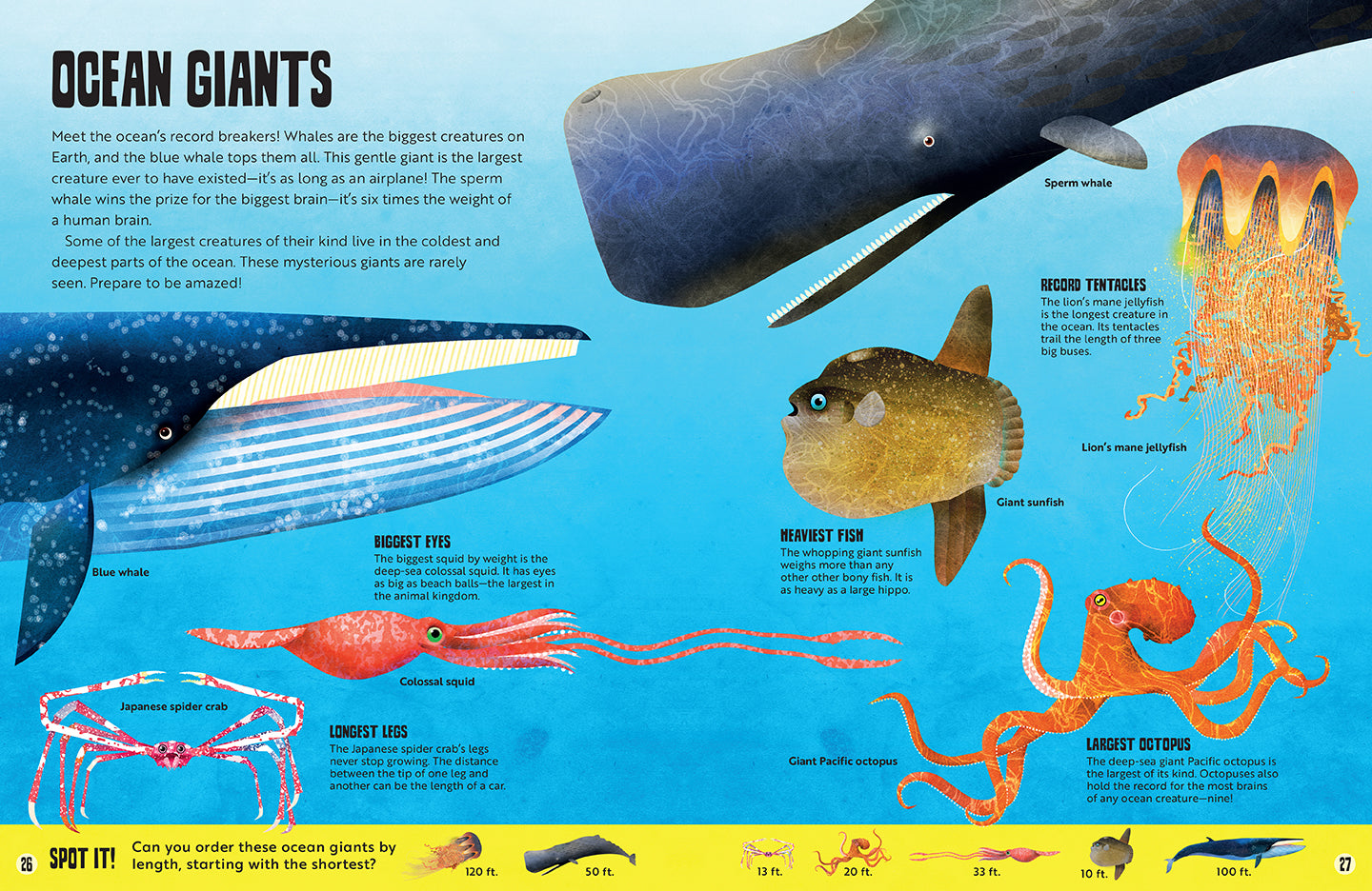 My First Oceans Atlas - Educational Kids Ocean Book for Learning Marine Life - Perfect for Homeschooling & Classroom Activities
