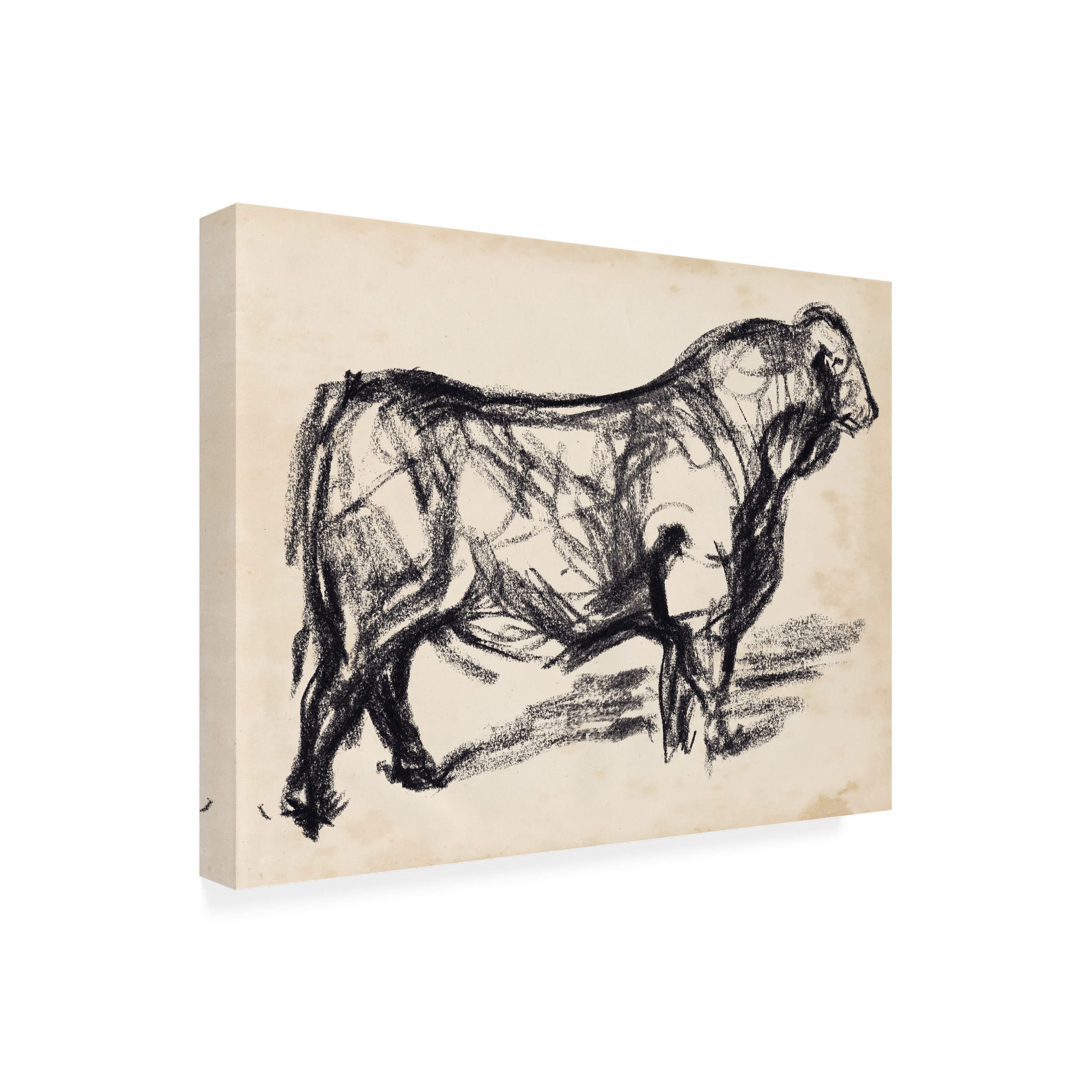 Trademark Fine Art 'Black Angus I' Canvas Art by Jennifer Paxton Parker - Modern Farmhouse Wall Decor for Living Room, Bedroom & Office