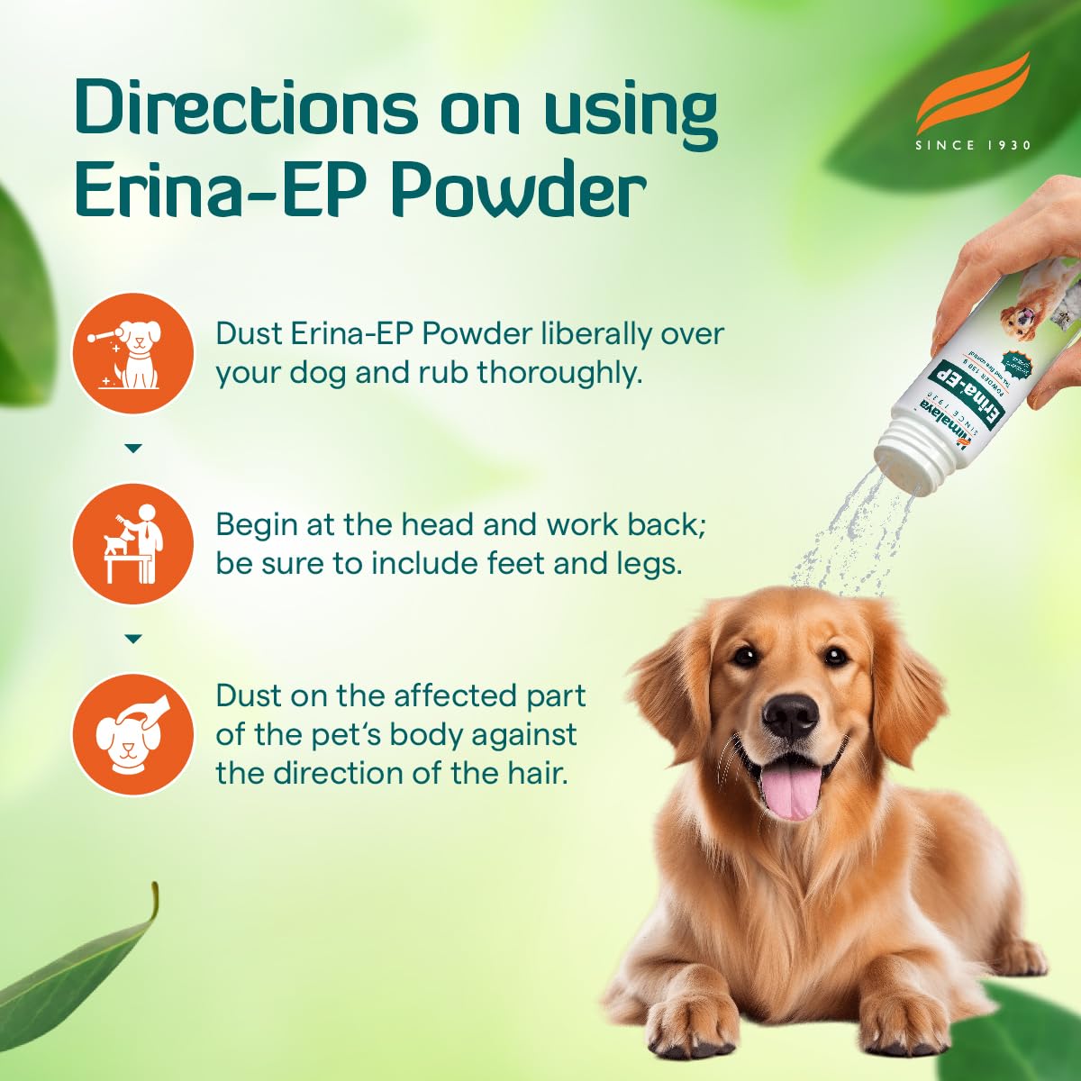 Himalaya Erina-EP Powder for Dogs & Cats - Natural Neem & Eucalyptus Flea & Tick Control - Soothes Itchy Skin - 150g | Pet Grooming, Kennel Use & Home Pest Prevention