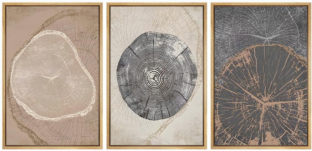 Tree Rings