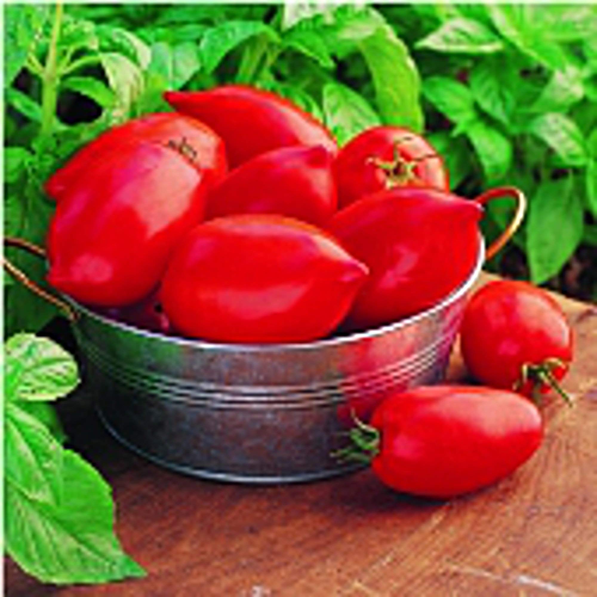 Heirloom Big Mama Tomato Seeds - Non-GMO, Organic (25+ Seeds) for Home Garden, Vegetable Patch & Container Planting | High-Yield, Delicious Tomatoes for Salads, Sauces & Fresh Eating