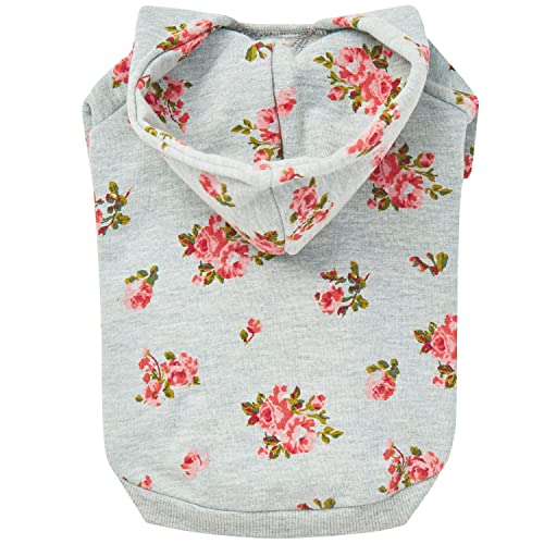 Hoodie - Stylish Grey