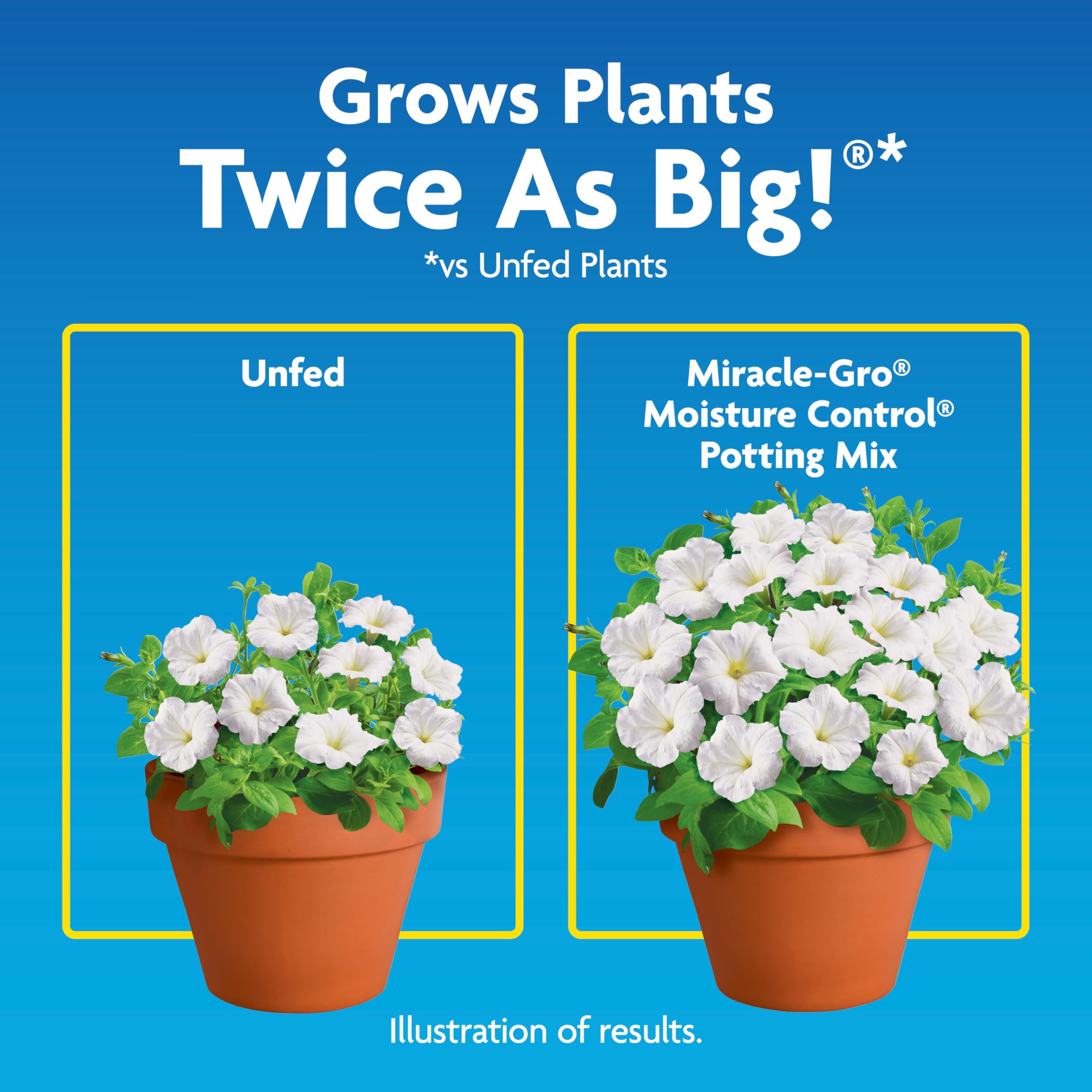 Miracle-Gro Moisture Control Potting Mix 6 qt - Premium Indoor & Outdoor Plant Soil for Flowers, Vegetables & Houseplants - Ideal for Container Gardening & Raised Beds